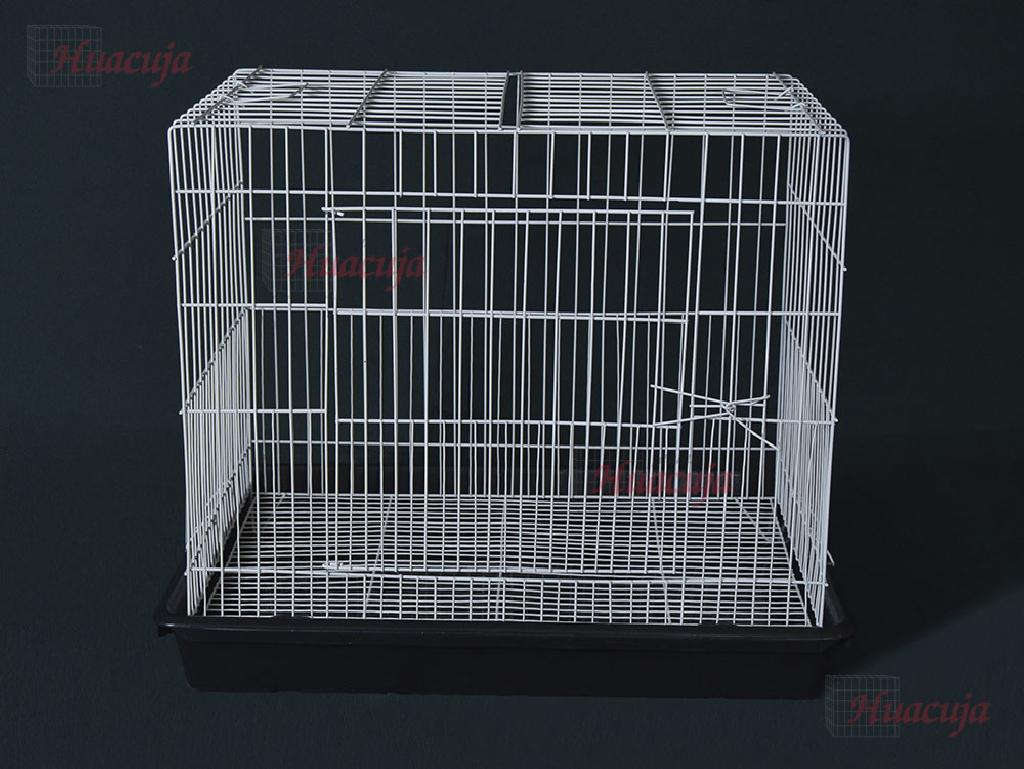 Cachorrera